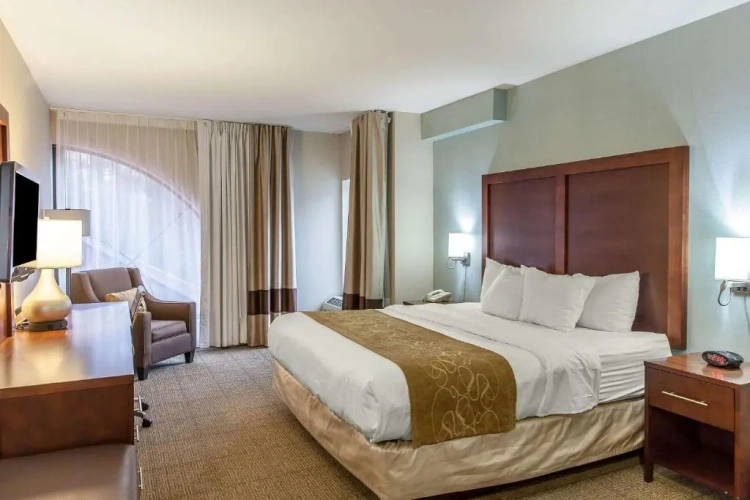Superior Double Suite