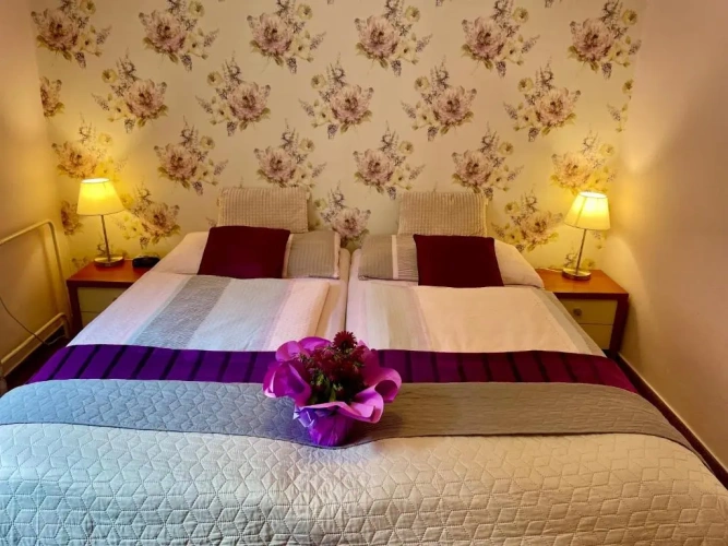 Standard Double room with view