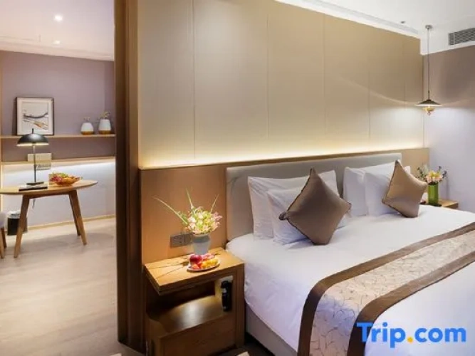 Deluxe Double Suite with city view