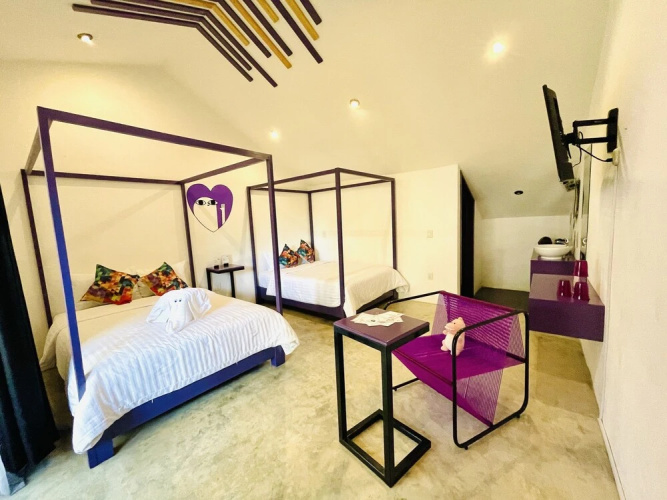 Suculenta Boutique