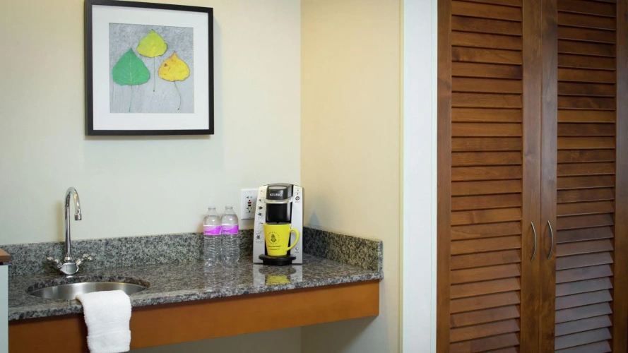 1 Bedroom Suite