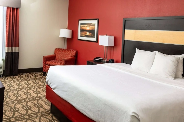 Standard Double room