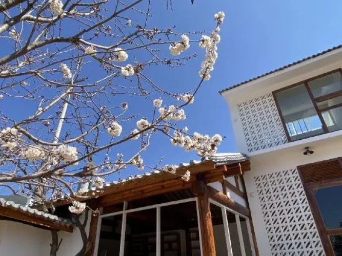 Shaxi Cantata Music Cafe B&B