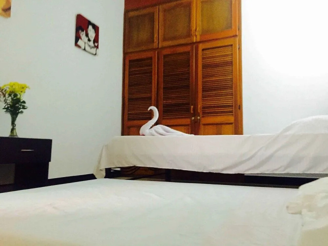 Bananas Hostel