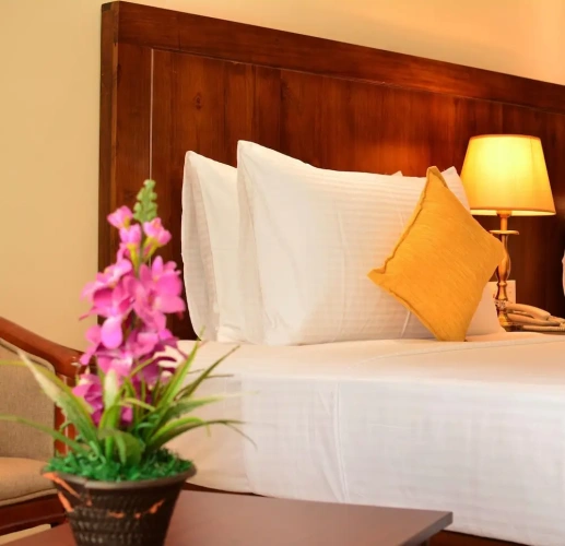 Deluxe Single room