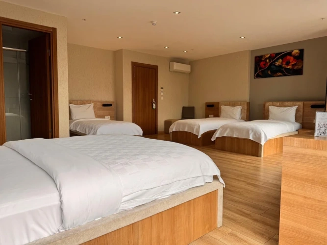 Standard Single room with balcony and with city view