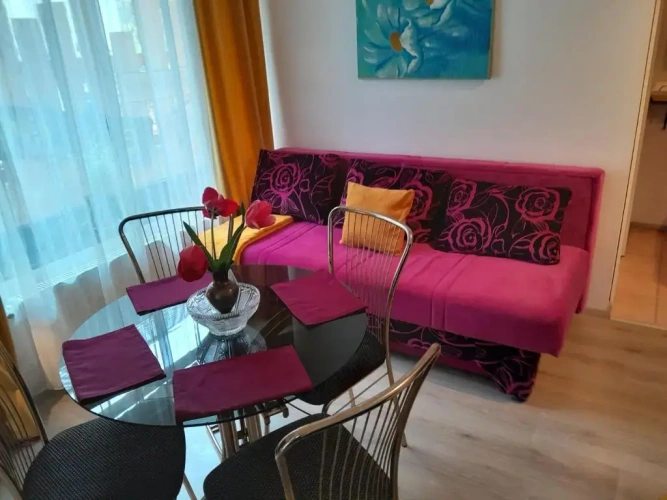 1 Bedroom Basement Apartment with view