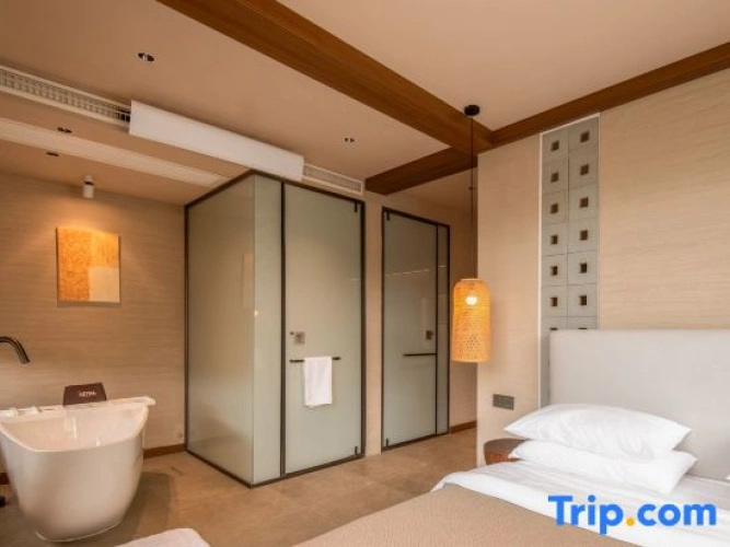Comfort Suite