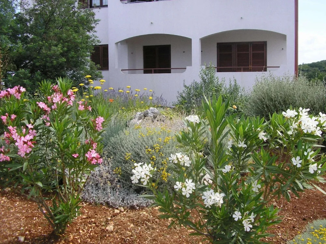 House Davorka
