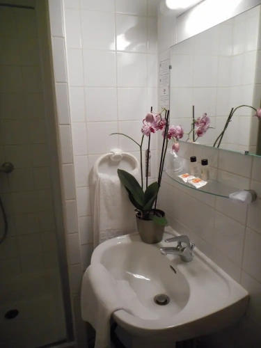Standard Triple room with balcony