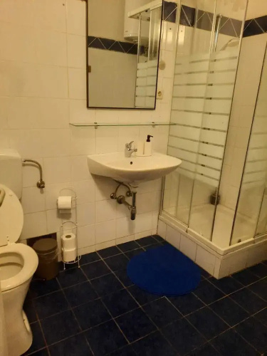 Charming 1BR Apt Steps from Belvedere