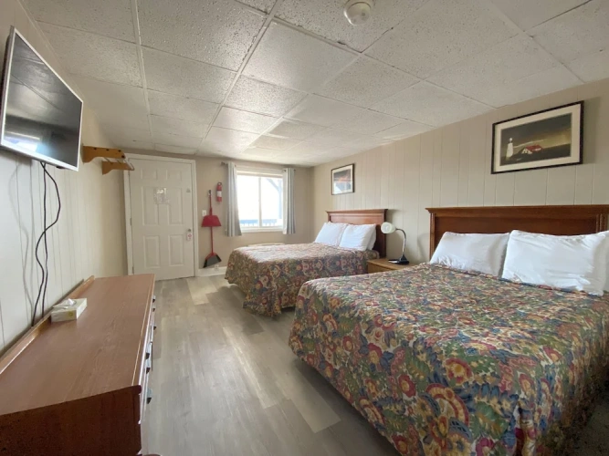 Standard Basement room
