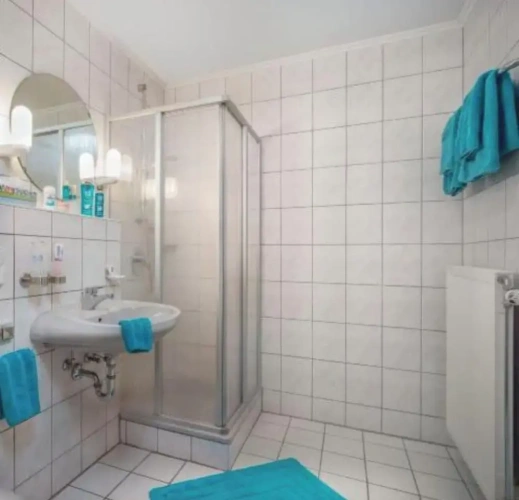 Economy Double room with balcony and with mountain view
