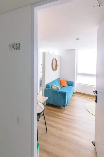 Perfect 1 BR in Centro Historico