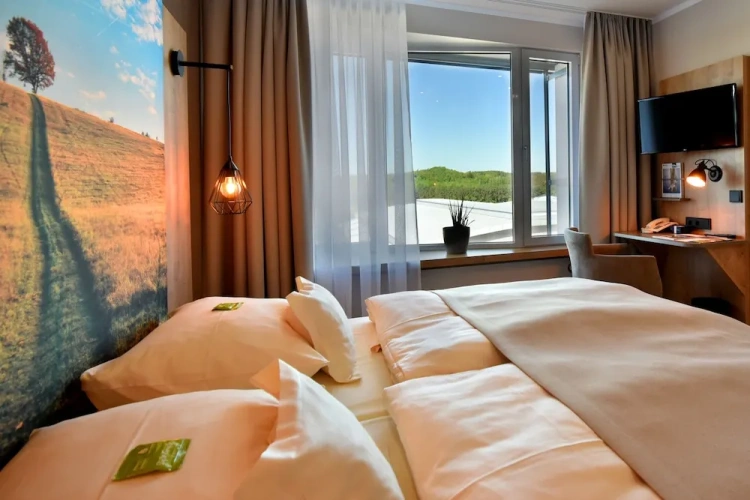 Standard Double room with lake view