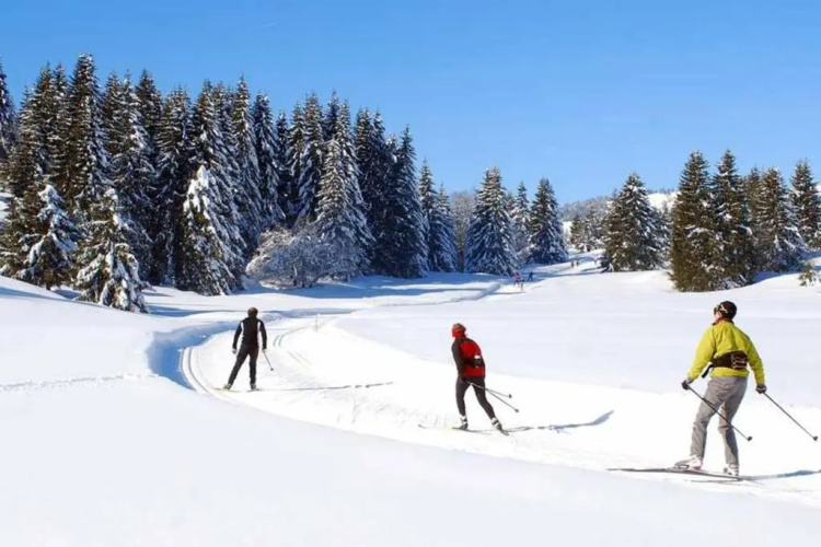 Le 211,ski et randonnée, lave linge ,parking