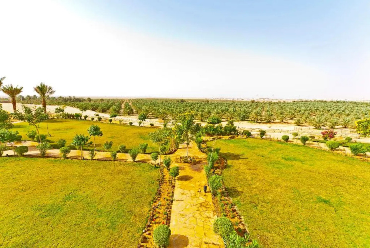 Al Malfa Resort