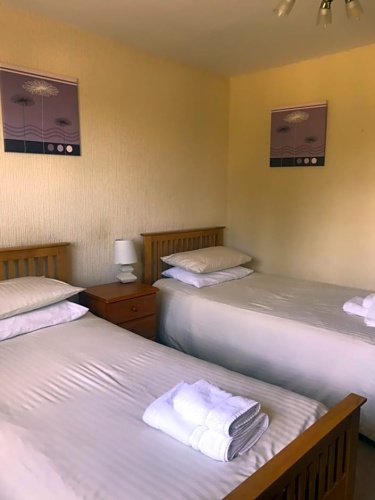 Standard Twin room