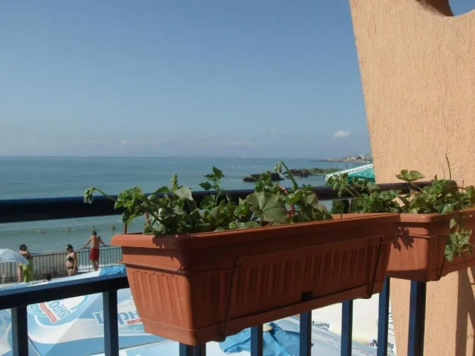 1 Bedroom Suite with balcony