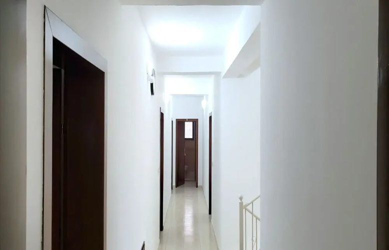 Ws Real Estate Devi