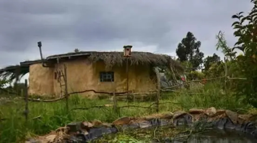 Hobbit House