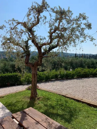 Casa Mìtìlà