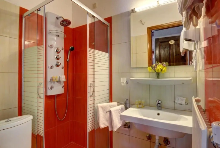 Standard Double room with balcony and with sea view