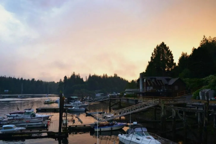 Harbourside Lodge