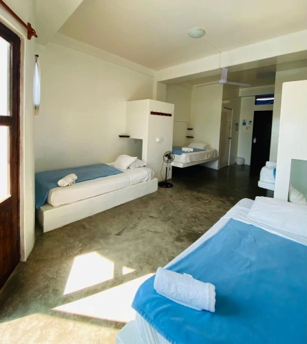 Economy Twin room