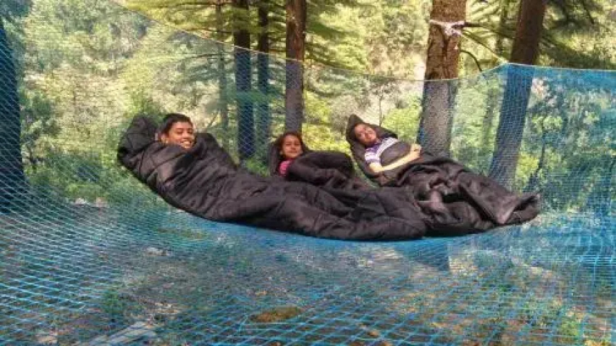 Northern Adventure Camp & Cottages