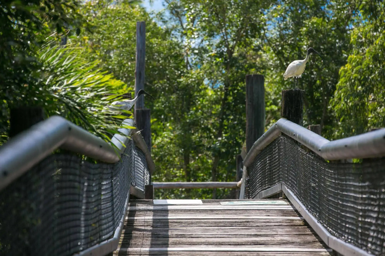 Daintree Wild Zoo & B&B