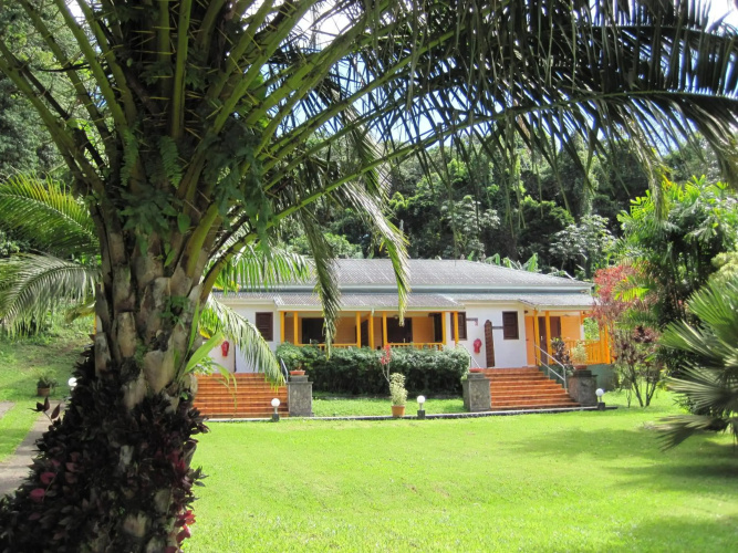 Les Cycas