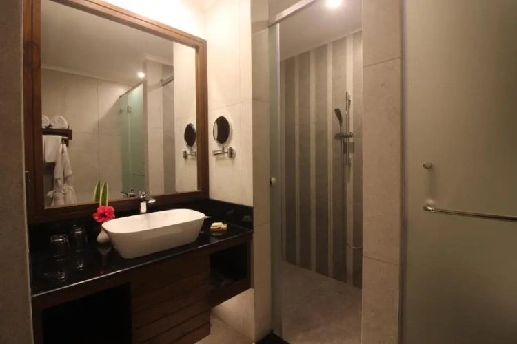 Standard room with river view