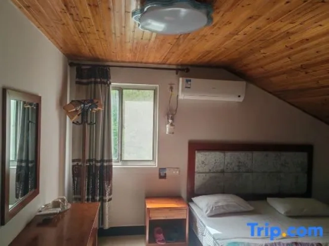 Standard Double Attic room
