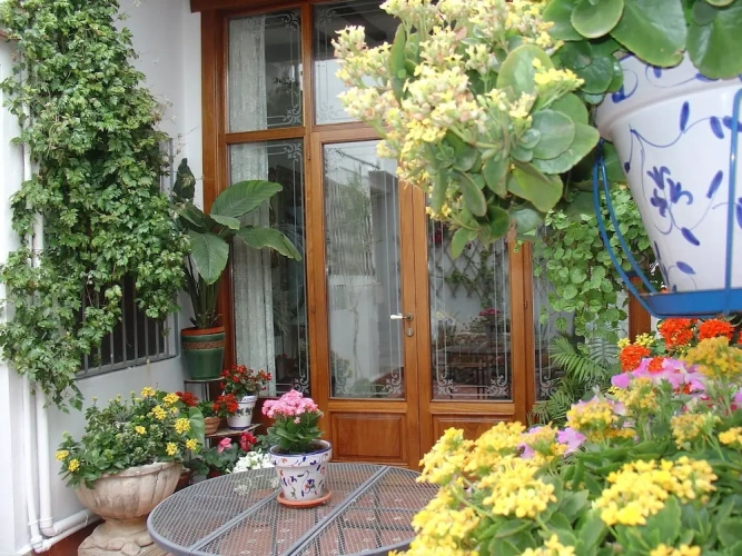 Outside