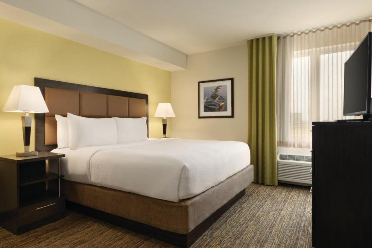 1 Bedroom Double Suite
