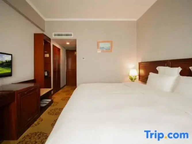 Business Double room with city view