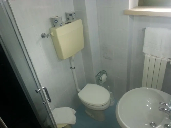 Classic Single room with balcony and with garden view