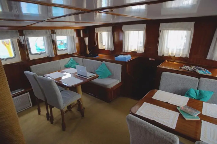 Dream Voyager