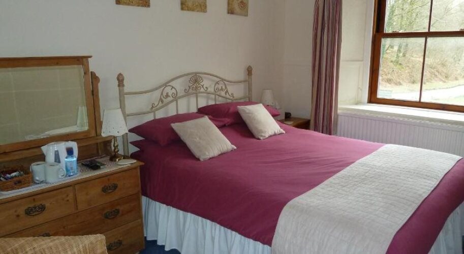 The Exmoor Forest InnOver view