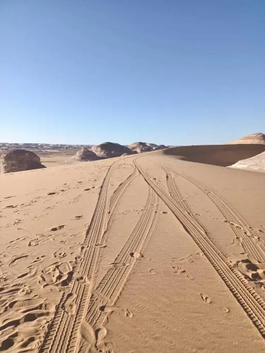 El Kamel Safari