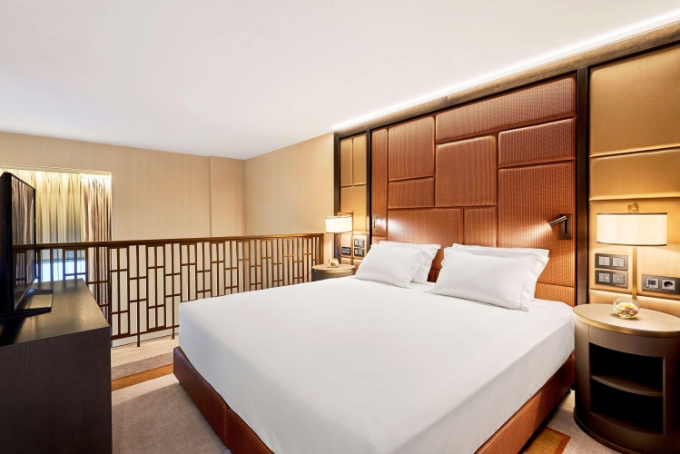 Hilton Budapest hotel photo 9