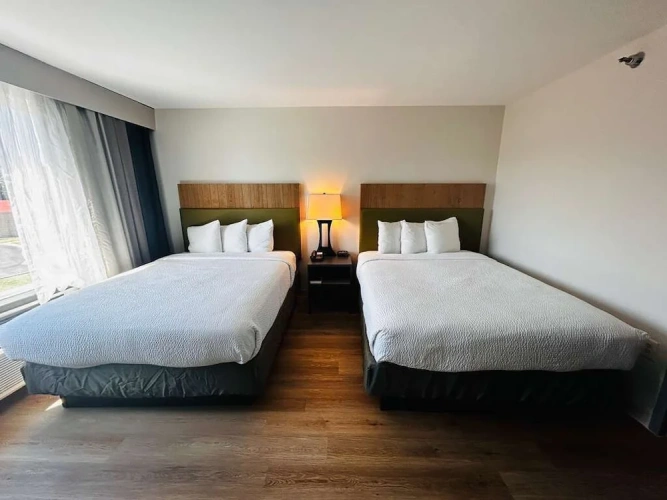Economy room