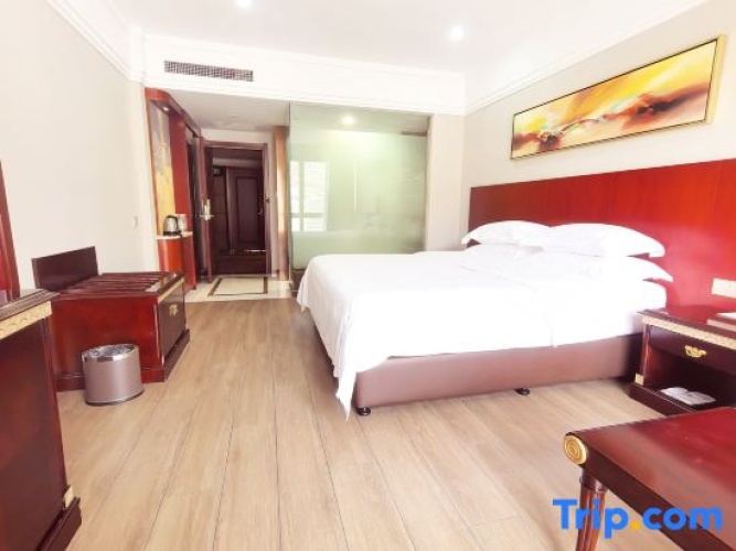 Triple Family Suite