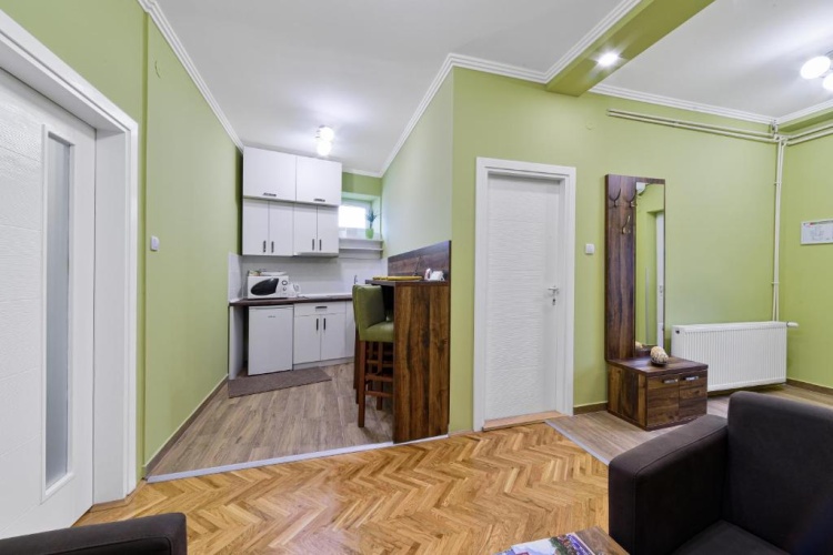 1 Bedroom Apartment