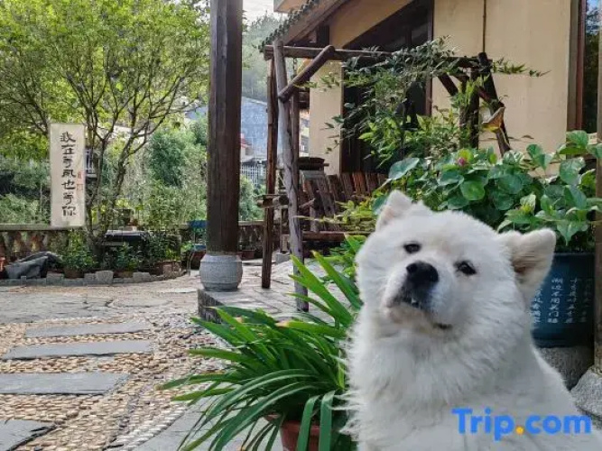 Shaoshan Dream Good Villa