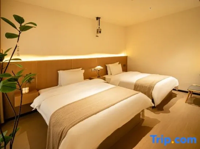 Twin Family Suite