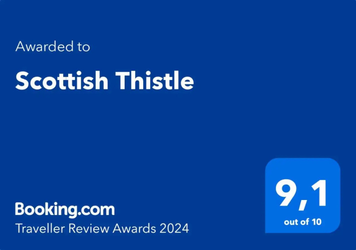 Scottish Thistle