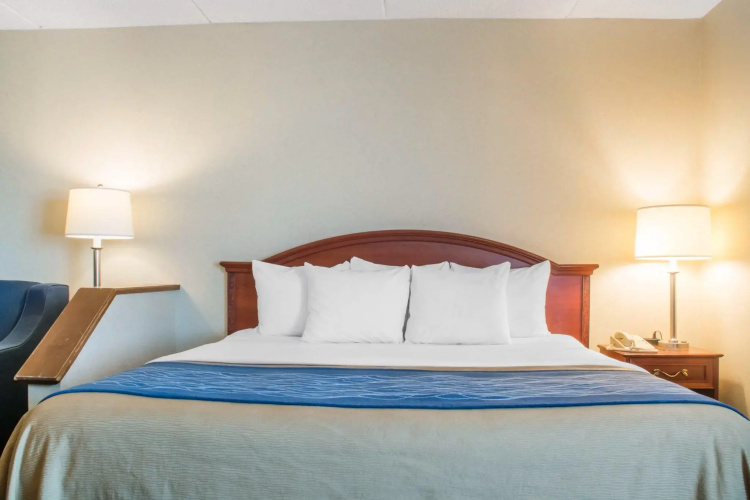 Comfort Inn Rochester - Greece