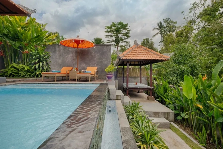 1 Bedroom Luxury room with view